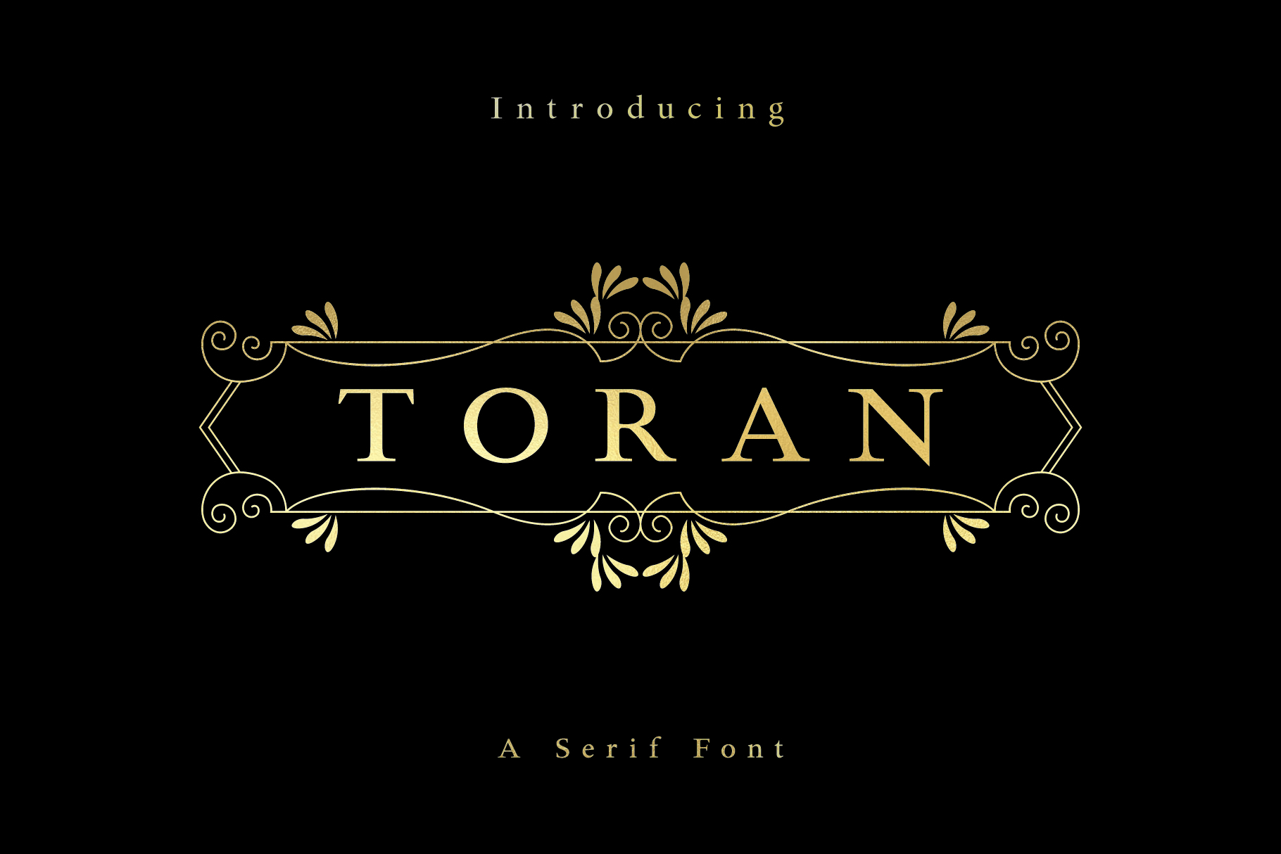 Toran Pro Font