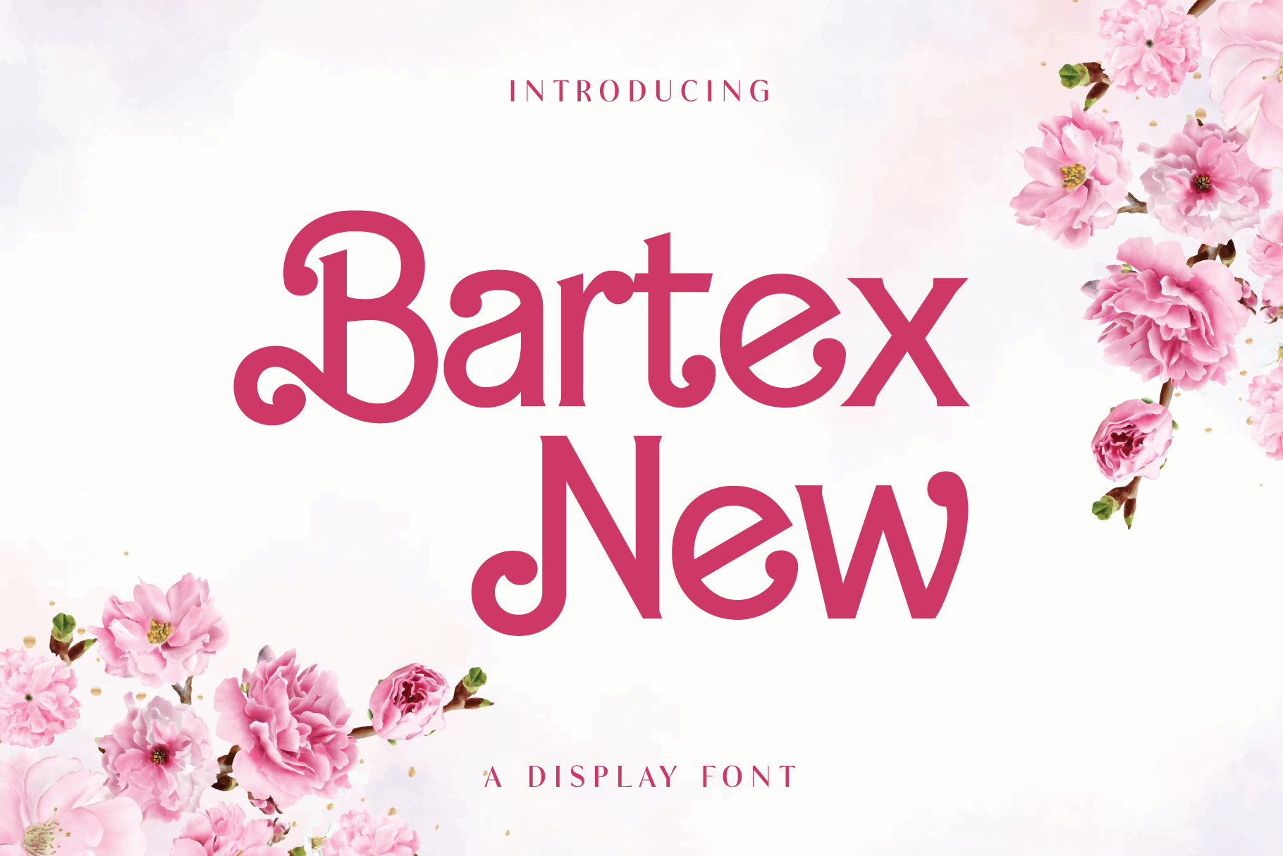 Bartex New Pro Font