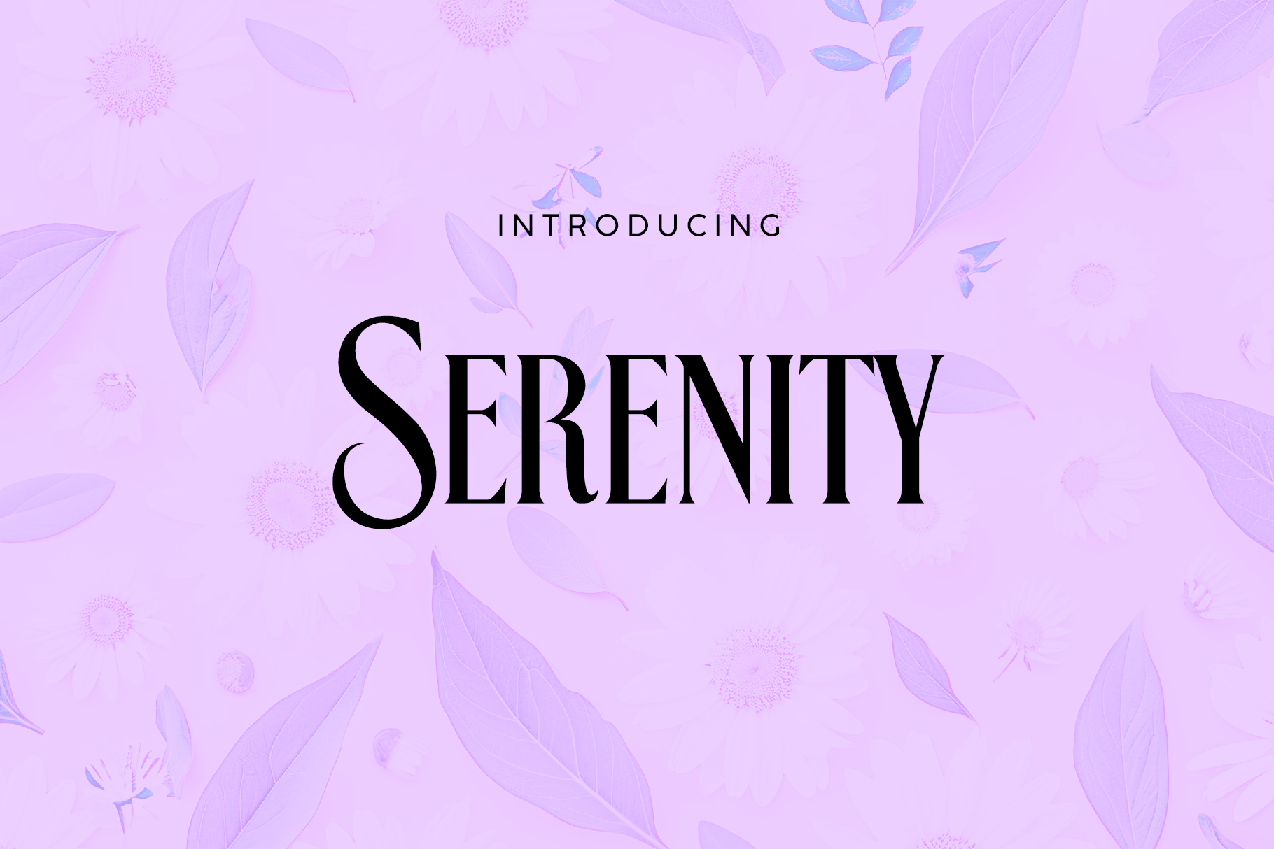 Serenity Pro Font